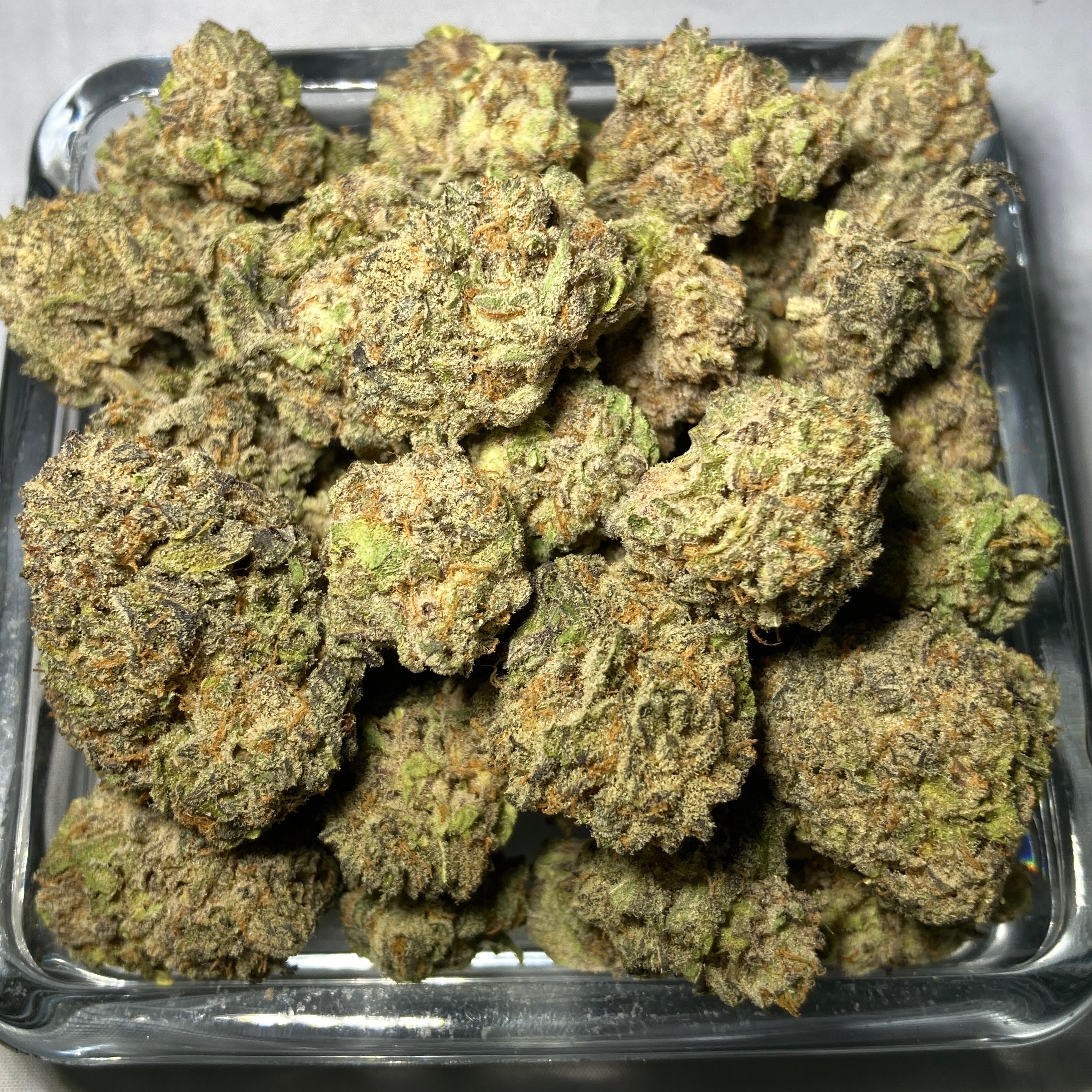 GMO Pie - Hybrid - Silver Tier Flower